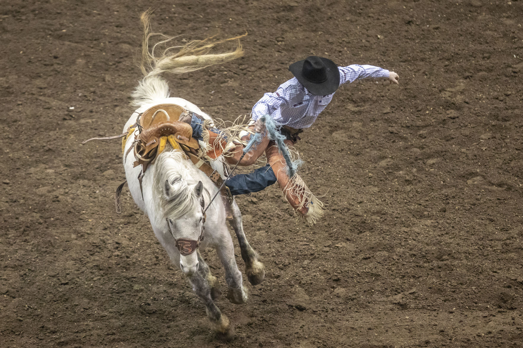Rodeo Rapid City